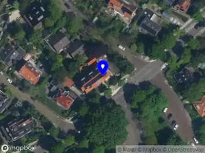 Telmans Merel Haarlem