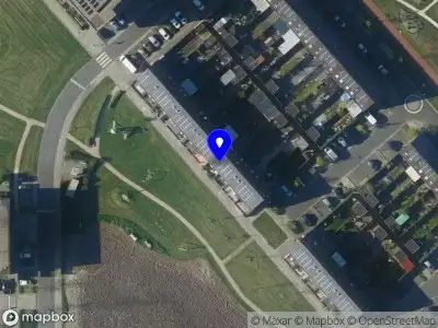 Wildwood & Fireflies