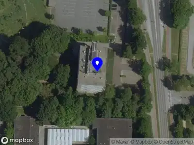 Ruoning Qin Scientific Illustration