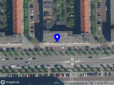 Larissa Landim Amsterdam