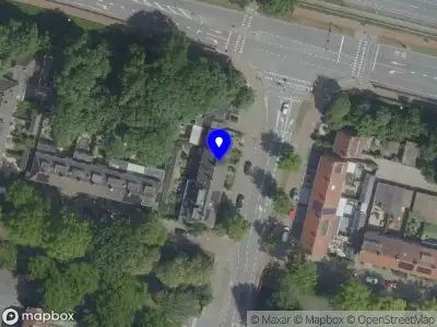 straatduif Eindhoven