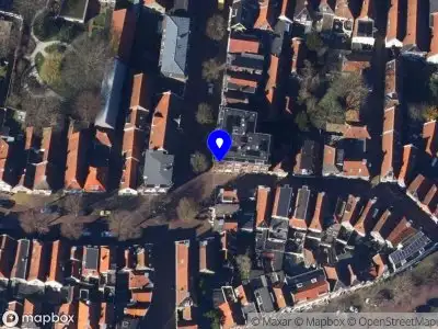 Nieuw bedrijf Nienke Kloosterman Photography