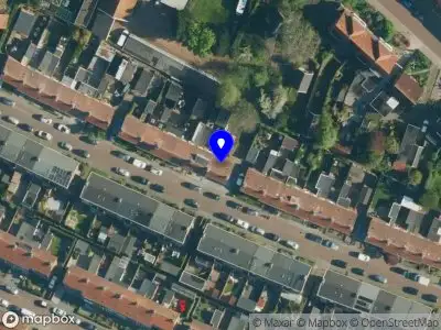 D. Hofman Dakbedekking