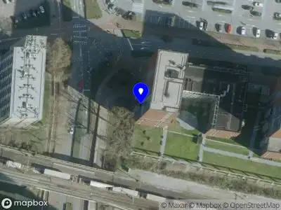 Bamboo Marketing & Consulting