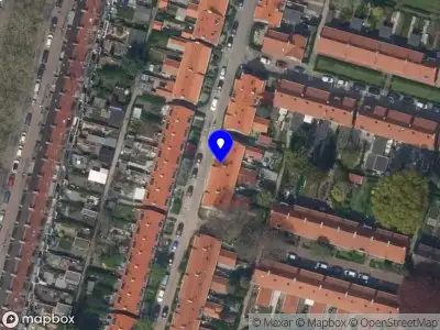 Nieuw bedrijf Dodo Allrounder