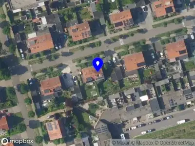 Holistisch Dierenarts Dieneke den Hartogh