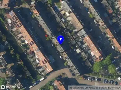 Delighted Fotografie