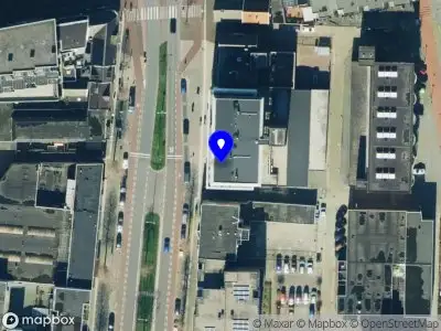 Pure Art Cupping By Sharon