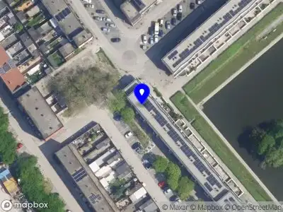 Queenfisher Swimming Almere