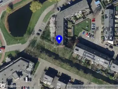 Nieuw bedrijf Vamos! Training & Coaching