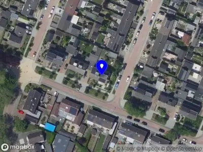 Faber boom en landschap Sleeuwijk
