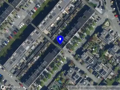Hartsverbinding met paarden Nieuw-Vennep