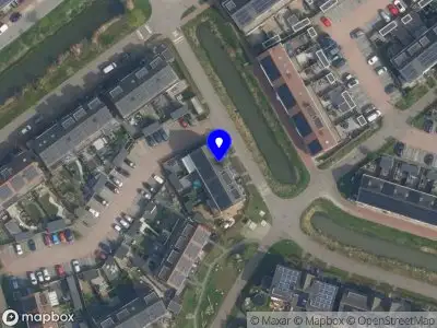 Monyet Gila airbrush tattoo