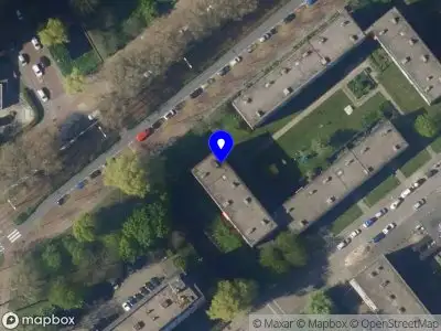 Stichting Warzone Animals