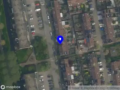 C & D (Carol & Daisy)