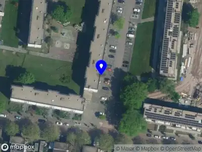 Diensten van Haddi Haarlem