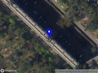 The Civic Tech Pioneer