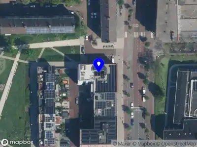 Dmitrii Mamontov Amsterdam