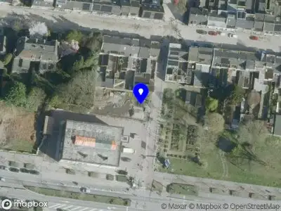 Content by Contañeros