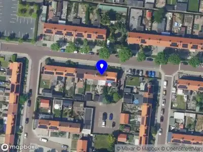 Limone Puro Dronten
