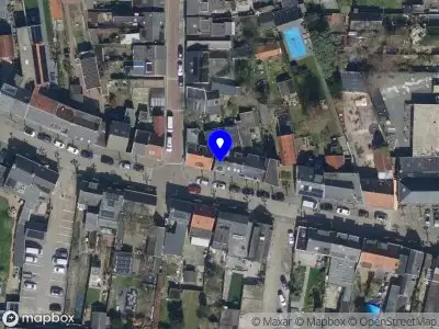 Papillion Dor‚ Oosterhout