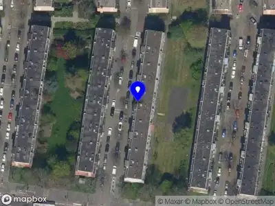 PsychoGenogramy Rotterdam
