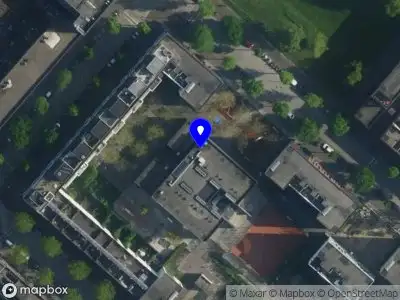 De Blauwe Slingeraap