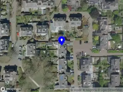 Nieuw bedrijf Treeline Consulting B.V.