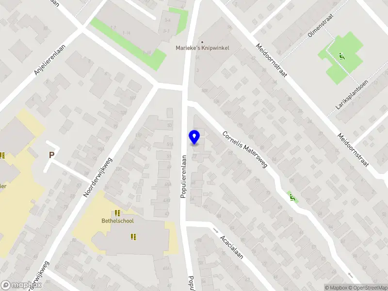 Mondhygiënist Stephanie van Bellen