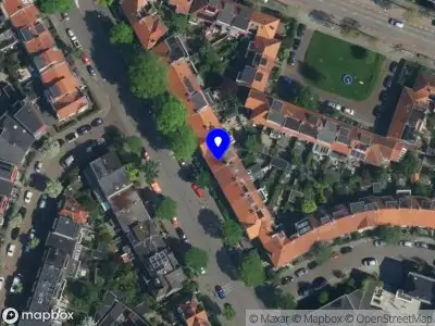 Sauvage Advies Tekst & Beeld