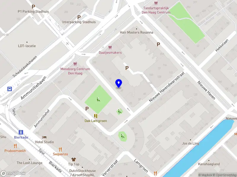 Nieuw bedrijf ShinyRides Den Haag