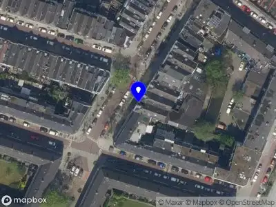 De Echte Kerstboom Specialist Rotterdam