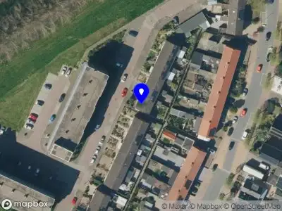 Sports Shark Coaching