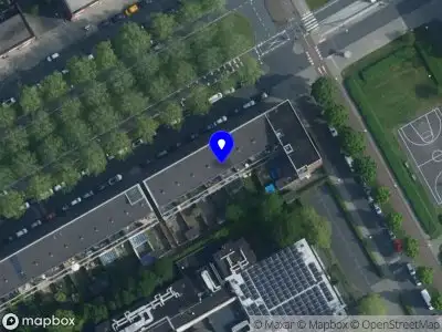 The exclusive hair collection