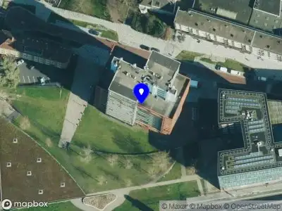 Damianschoonmaakbedrijf