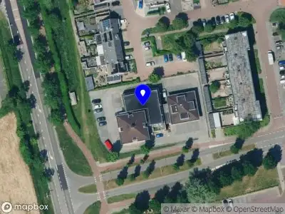 The blooming journey