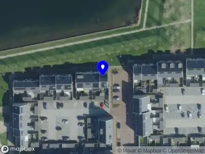 Dogs Nature Photography