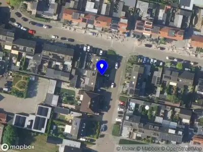 Learned Linguistic Octopus