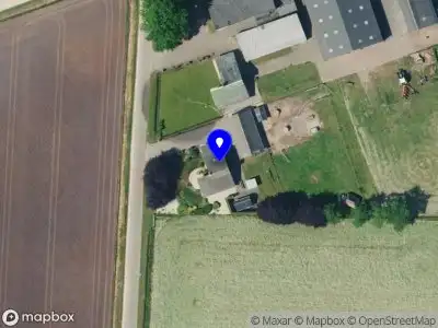 Graszoden kwekerij J.H. van Hierden