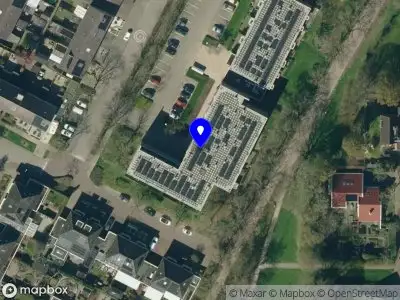 Nieuw bedrijf From Holland Witlof