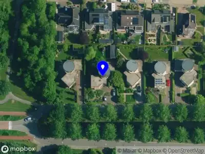 The Potato Ambassador