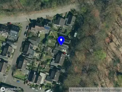 Maarten van der Steen Consulting