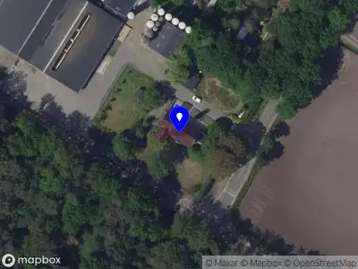 Nieuw bedrijf Nicolae Sidor