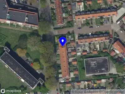 Hondenschool Wiggles