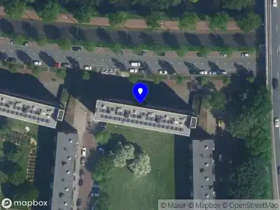 Cuppingtherapie Amsterdam