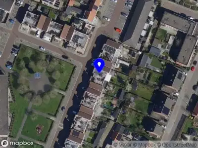 Lashy Lashes & Brows