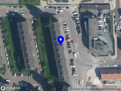 Colorful Beauty By Sam