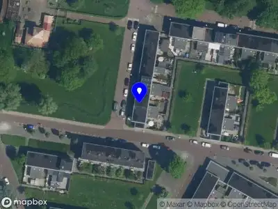 SelcanMcare Amsterdam