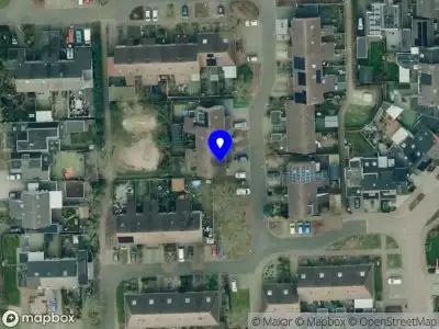 Aratinga - Gedragstherapie voor vogels