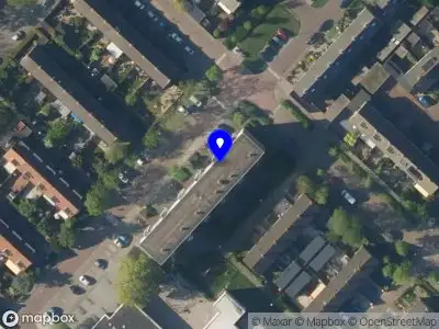 Nieuw bedrijf The Green Mandala